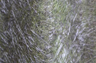 Pencraig fibreglass roof work